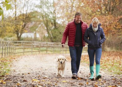 Fostering in Manchester – Where, Why and How